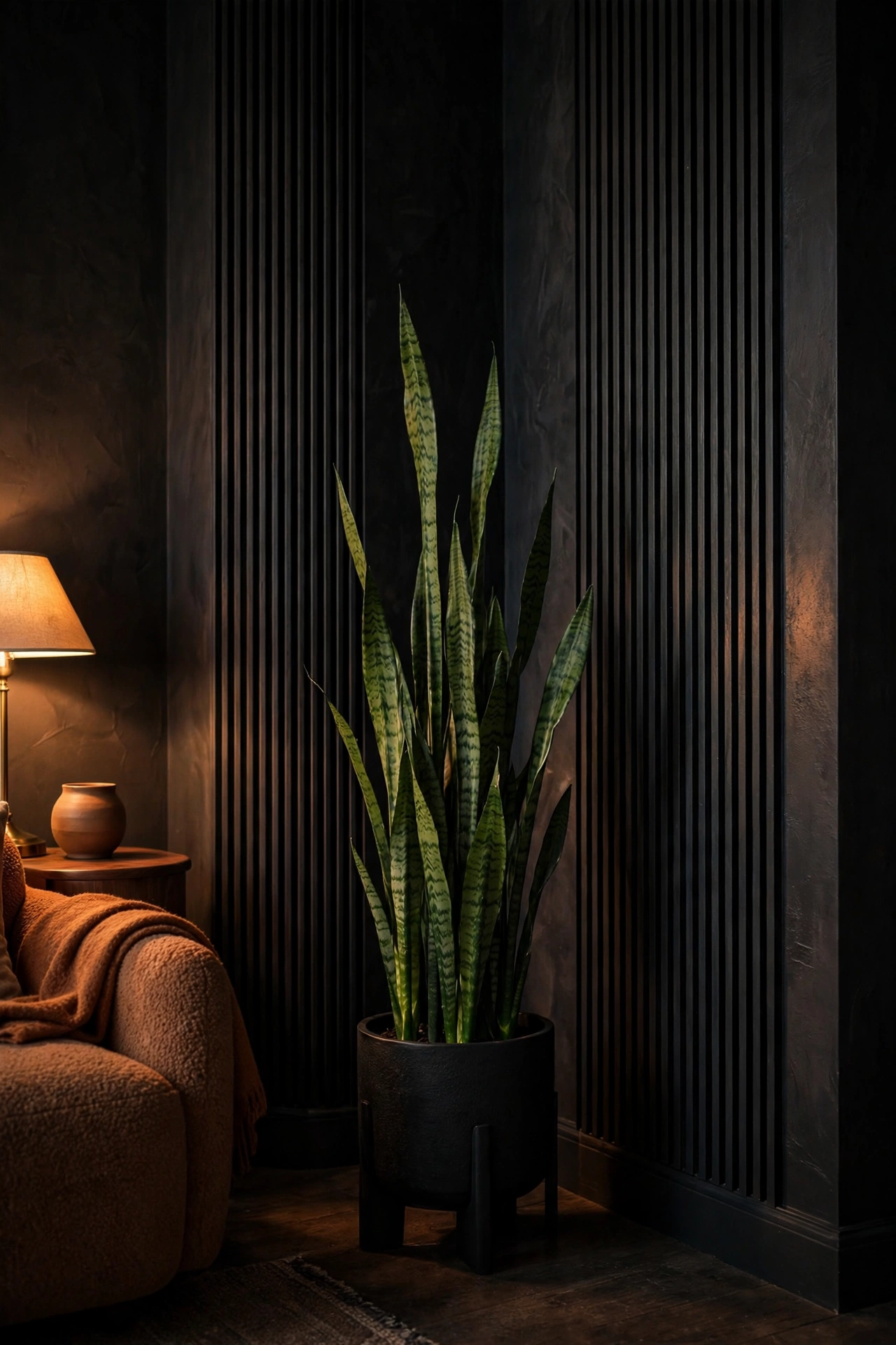 Tall snake plant in black pot against dark wall, sculptural moody living room plant