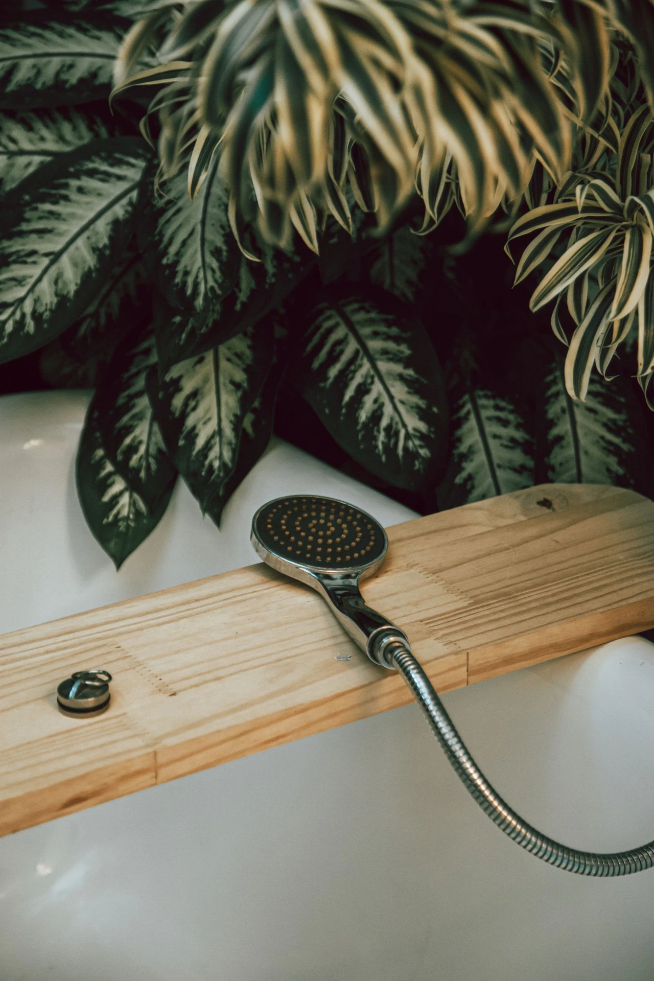 Fresh eucalyptus bunch tied to a showerhead in a modern bathroom