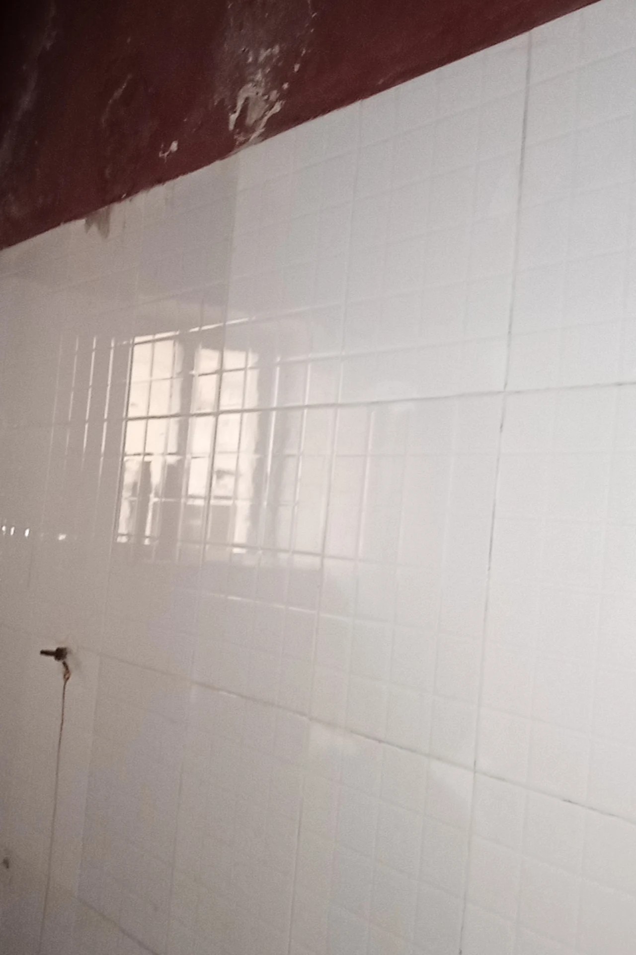 Black and White Geometric for Modern Edge in a cozy budget bathroom with soft natural light