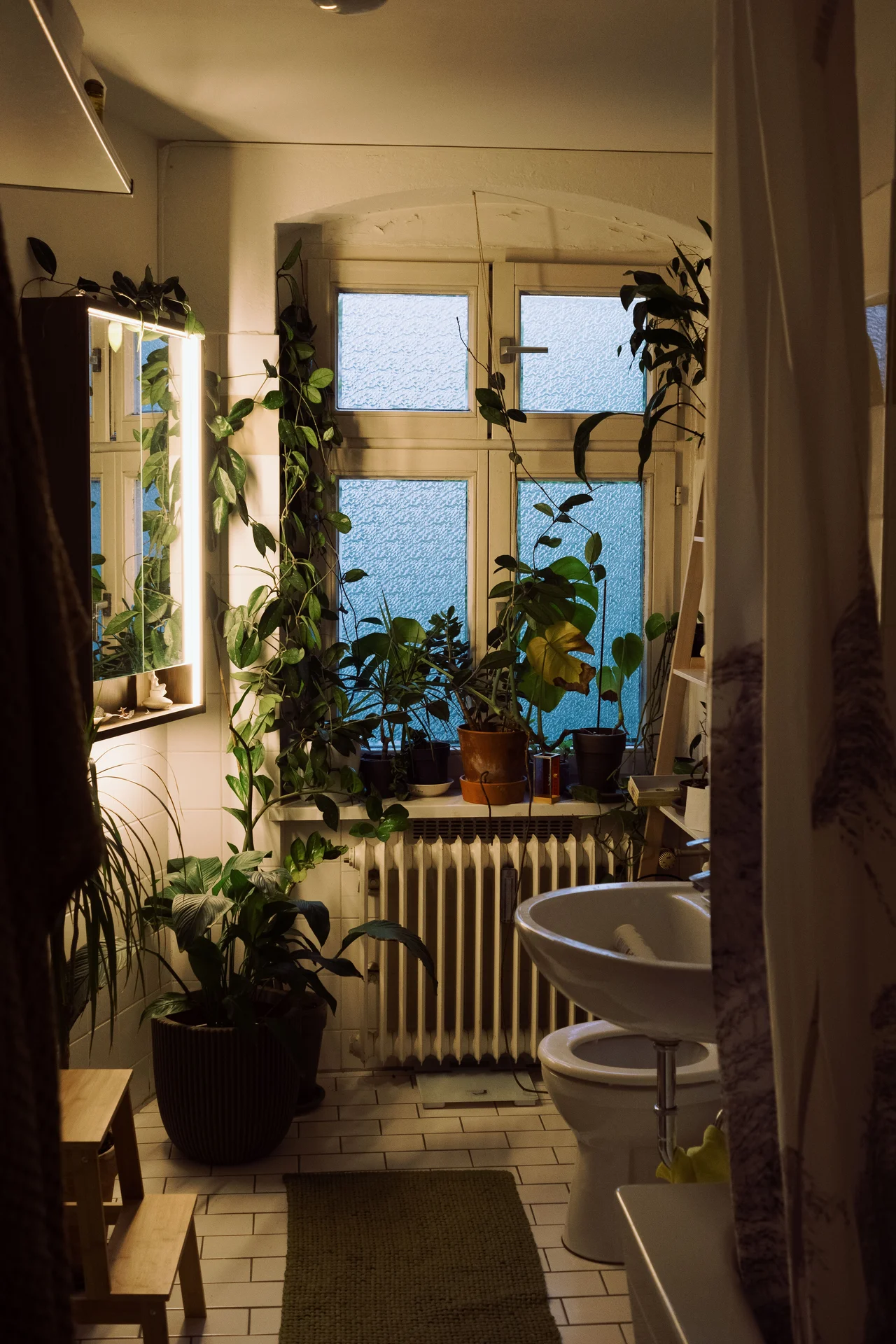 Mini shelf with small potted plants by a bathroom window