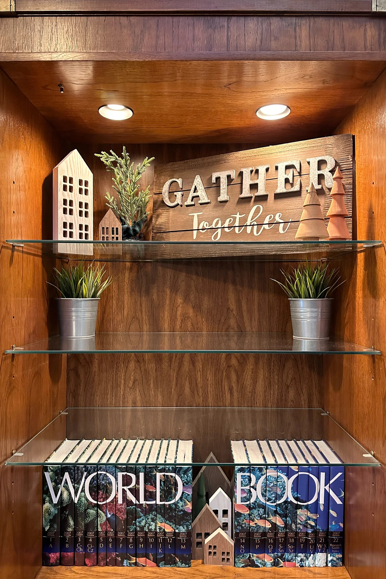 Floating shelf above a doorway holding plants and books