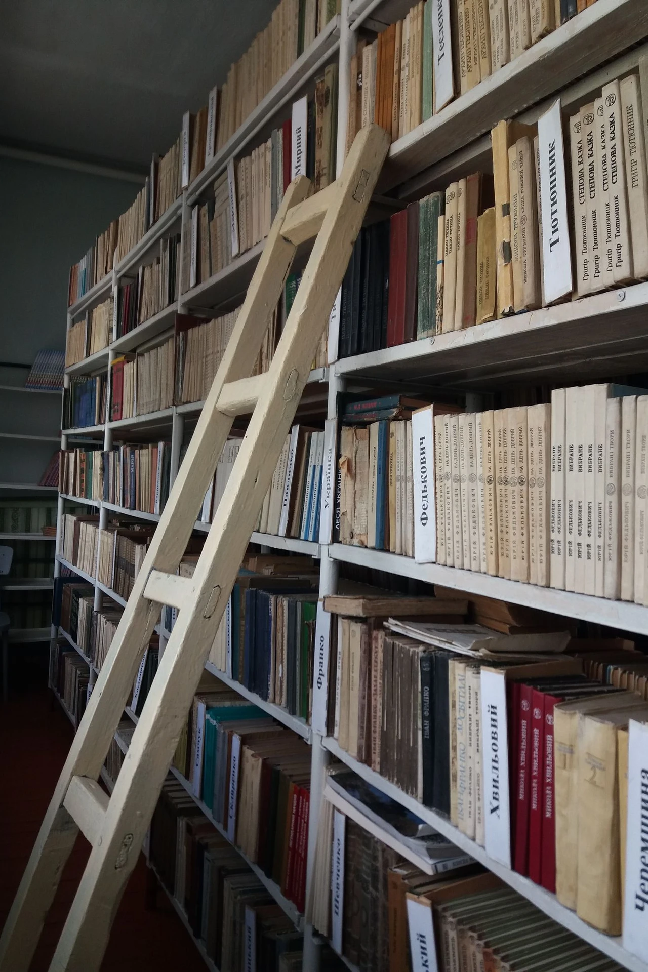 Store Up High on Tall Shelving in a small apartment