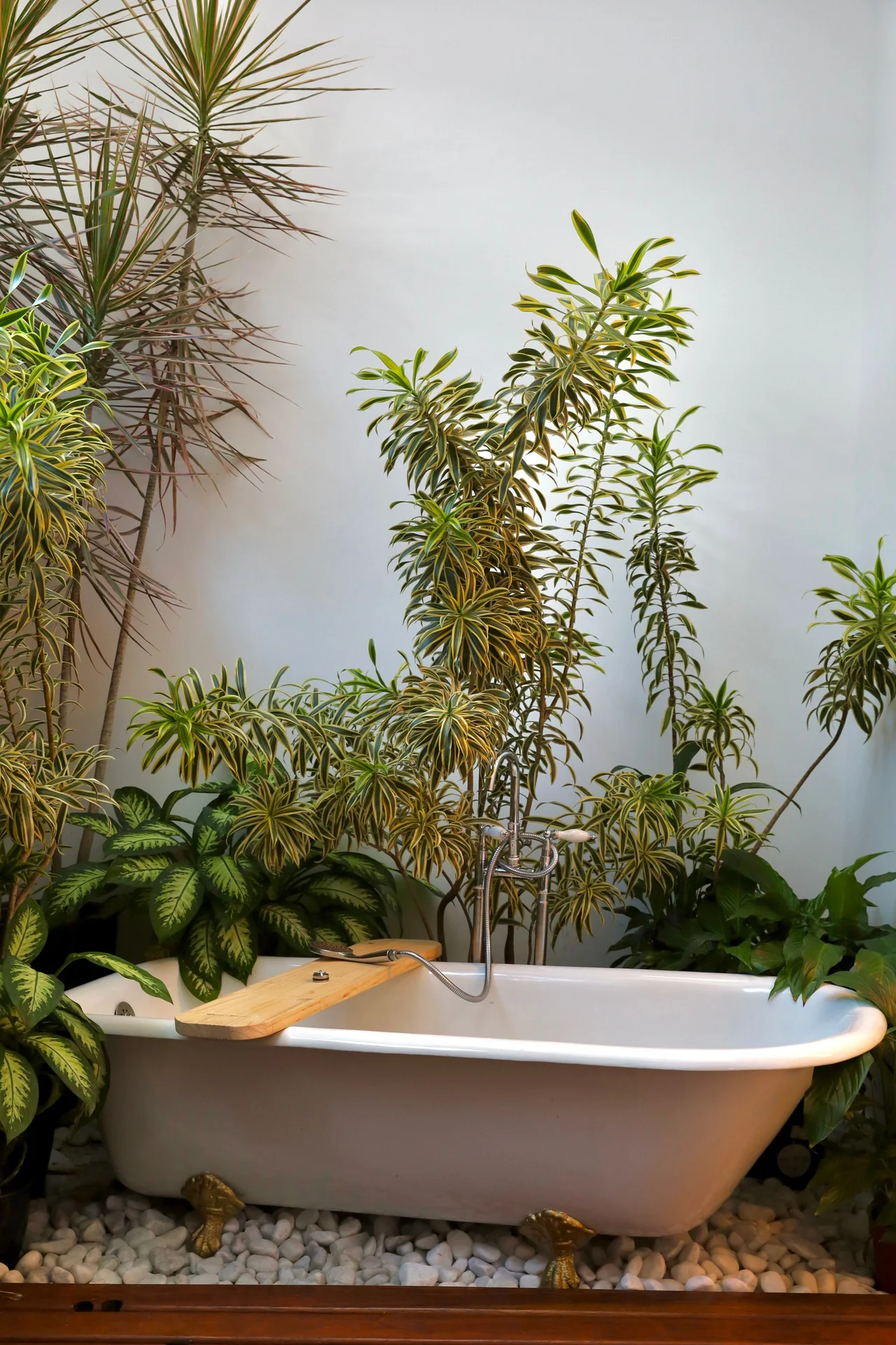 Put One Small Plant on the Windowsill in a small budget-friendly apartment